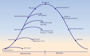 Corporate Lifecycles