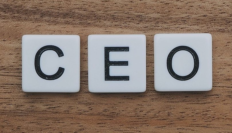 Leadership Series: Eleven Sound Tips for the CEO – Professional Growth ...